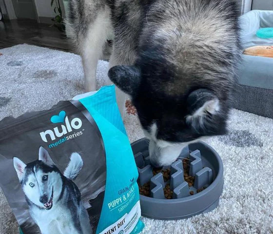 Suosikkikuivaruoka